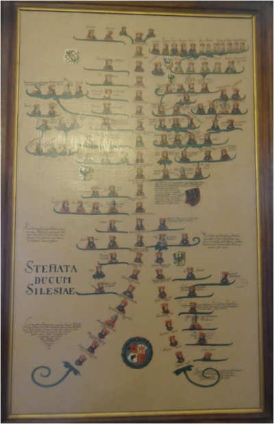 Jak wygląda drzewo genealogiczne Zamek Książąt Piastowskich w Brzegu