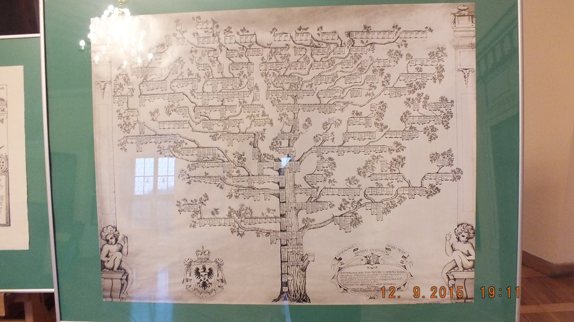 Jak wygląda drzewo genealogiczne