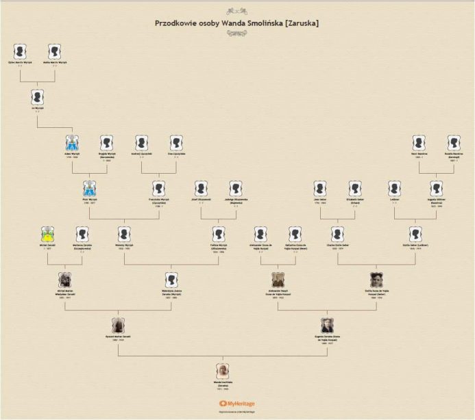 Jak wygląda drzewo genealogiczne wywód przodków myheritage