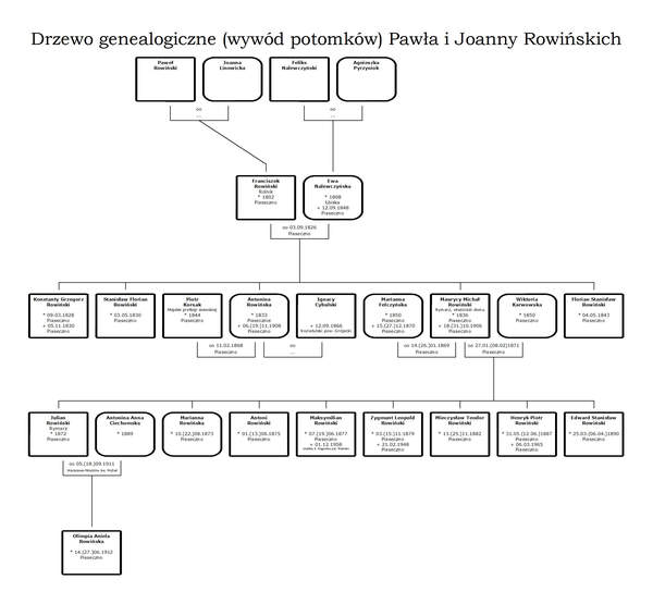 Drzewo genealogiczne rodziny Rowińskich z Piaseczna Pawła i Joanny