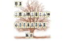 drzewo genealogiczne rodziny