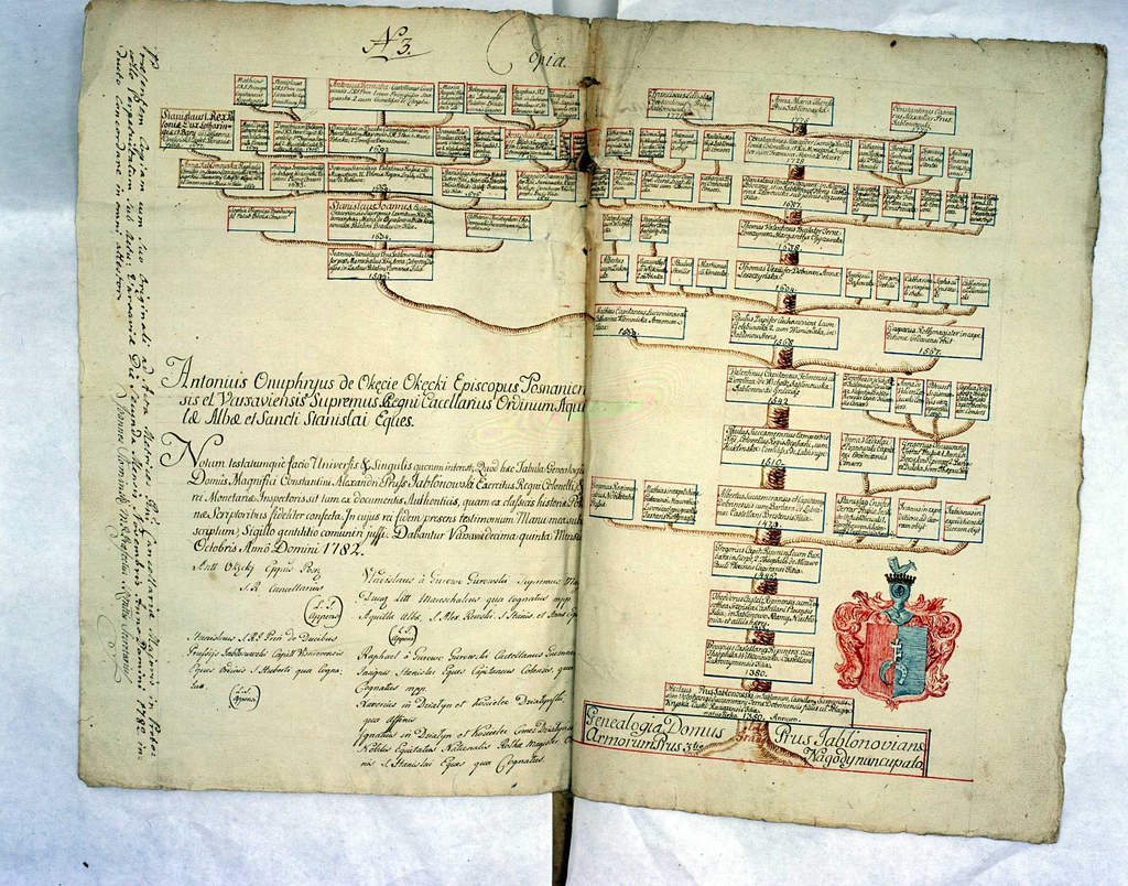 Jak wygląda drzewo genealogiczne drzewo genealogiczne rodziny Prus Jabłonowskich