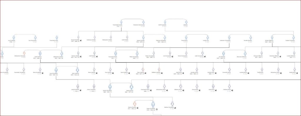 My Family Tree mój ulubiony program genealogiczny ekran roboczy