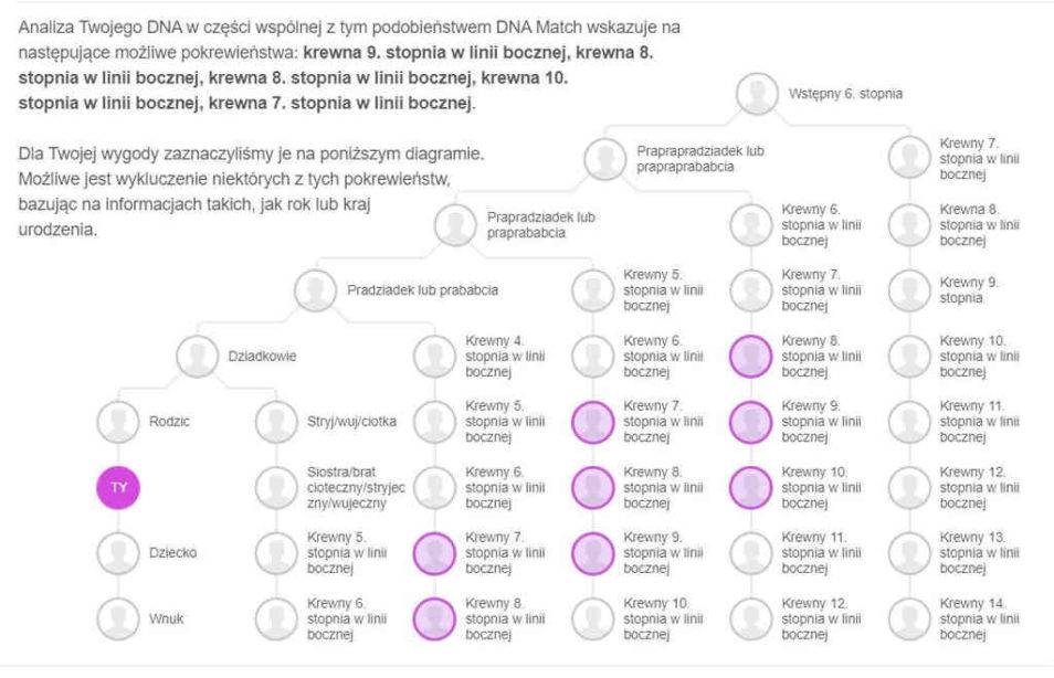 Autosomalne DNA - stopień pokrewieństwa według MyHeritage