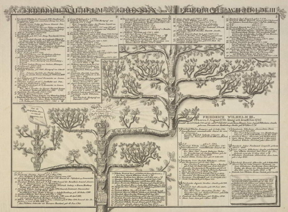 Drzewo genealogiczne Fryderyka Wilhelma Wielkiego Elektora. Źródło: Polona