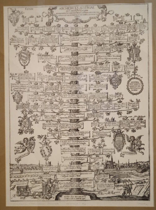 drzewo genealogiczne arcyksiążąt austriackich